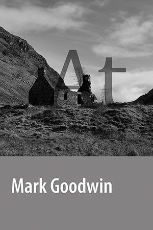 Mark Goodwin - At