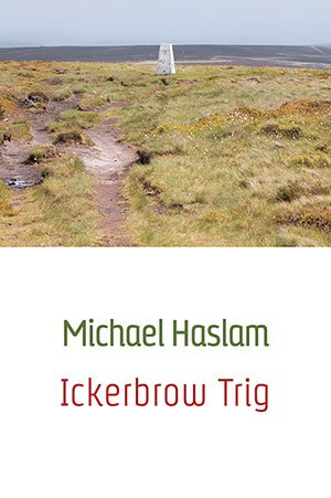 Michael Haslam - Ickerbrow Trig