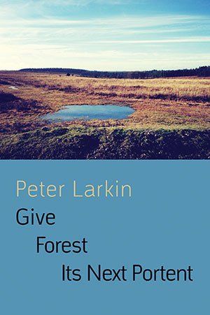 Peter Larkin  Give Forest Its next Portent