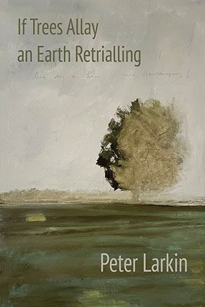 Peter Larkin - If Trees Allay an Earth Retrialling