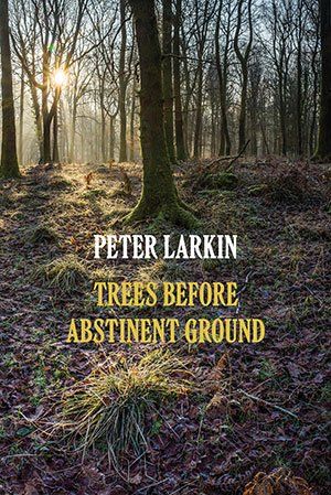 Peter Larkin - Trees Before Abstinent Ground