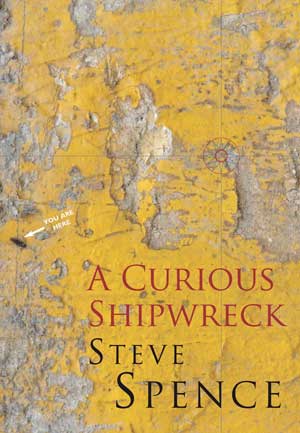 Steve Spence   A Curious Shipwreck