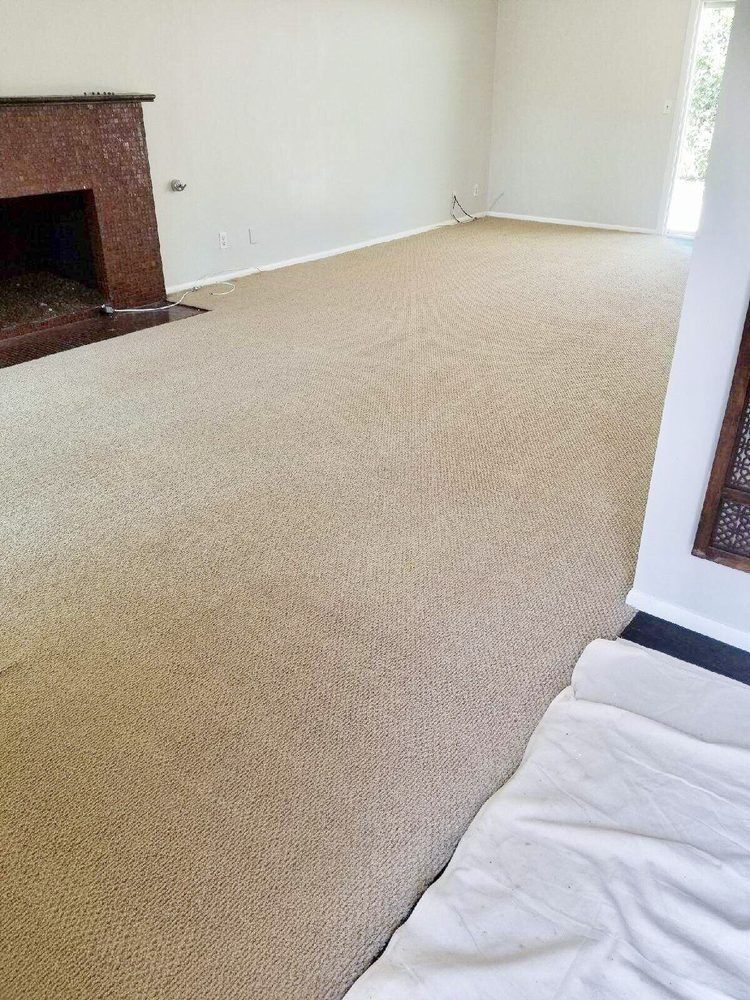 A living room with a fireplace and a carpeted floor.