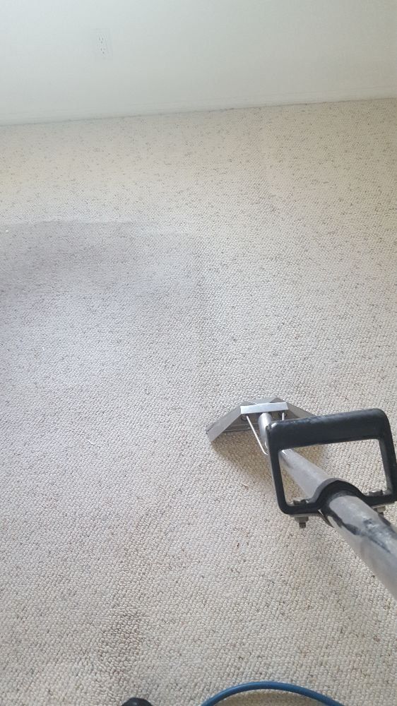 A vacuum cleaner is cleaning a carpet in a room.