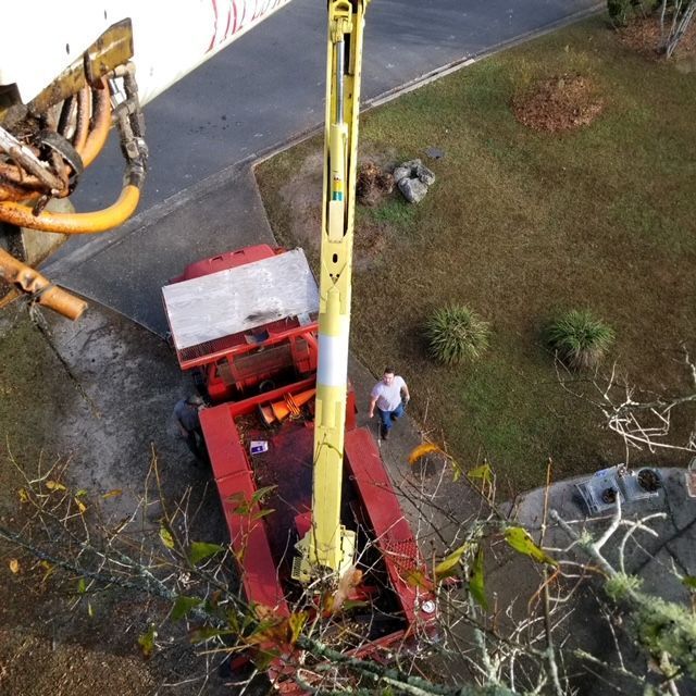 Gallery #6 – Tallahassee, FL – Affordable Tree Service By Mark Hicks