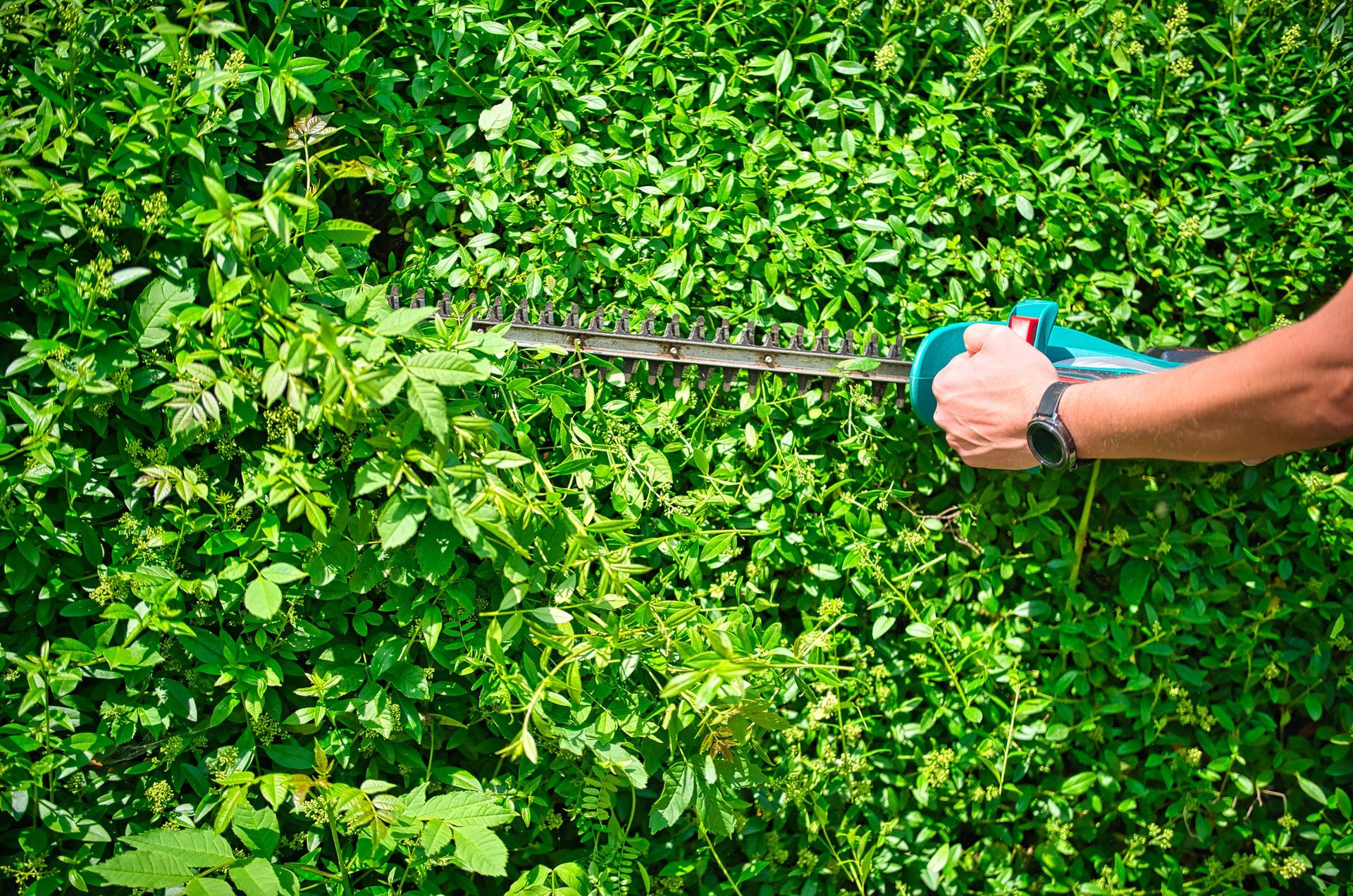 Modern office desk with laptop, notebook, and coffee cup. Modern office desk with laptop, notebook, and coffee cup.