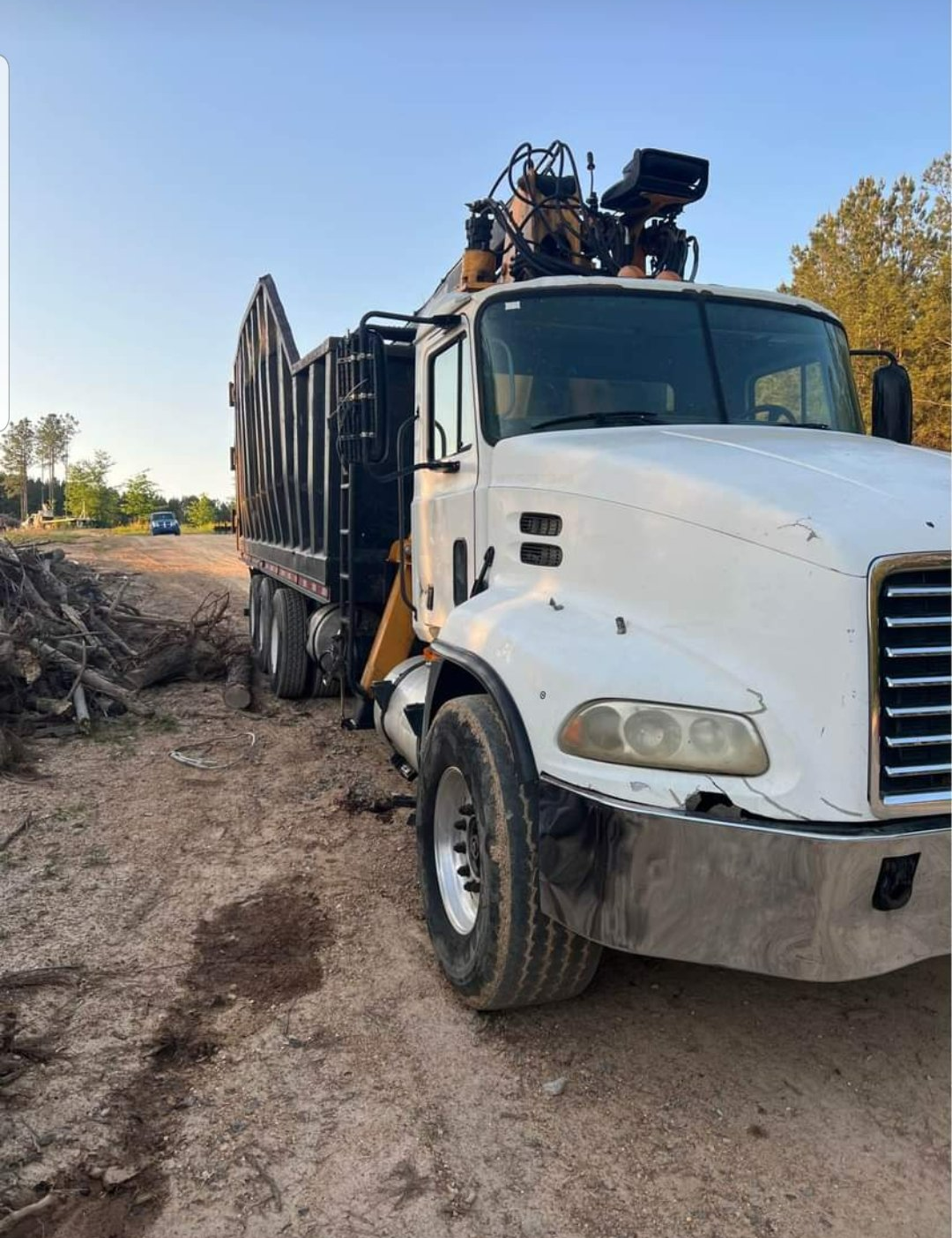 Gallery #1 – Tallahassee, FL – Affordable Tree Service By Mark Hicks