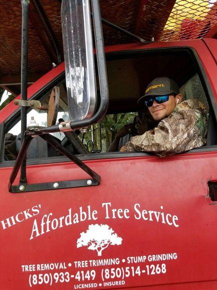 Tallahassee Tree Service – Tallahassee, FL – Affordable Tree Service By Mark Hicks