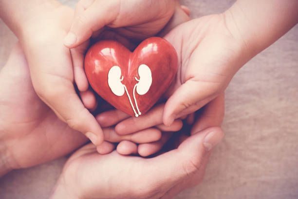 A Group of People are Holding a Red Heart with Kidneys on it — Orlando, FL — Central Florida Kidney Specialists