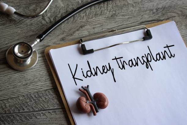 Kidney Transplant — Orlando, FL — Central Florida Kidney Specialists
