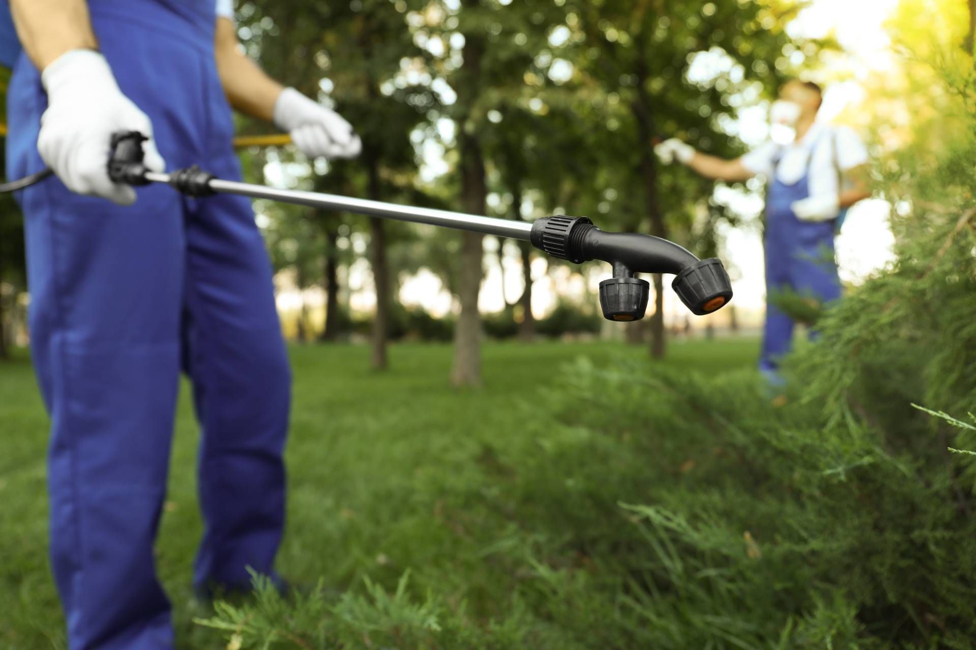 Two workers in blue overalls spraying a bush with a pesticide applicator in a park.