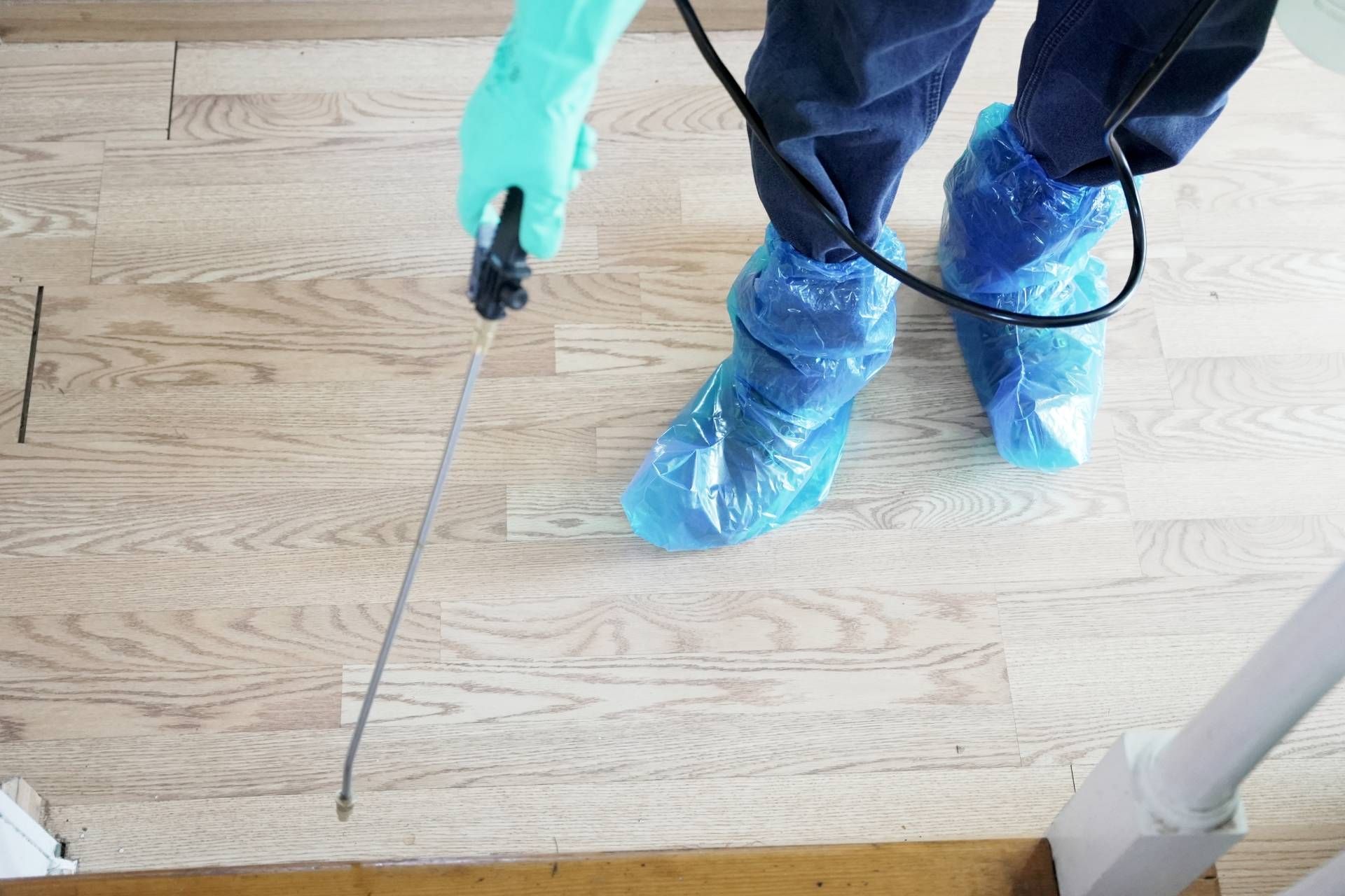 Person spraying insecticide on a wooden floor, wearing gloves and shoe covers.