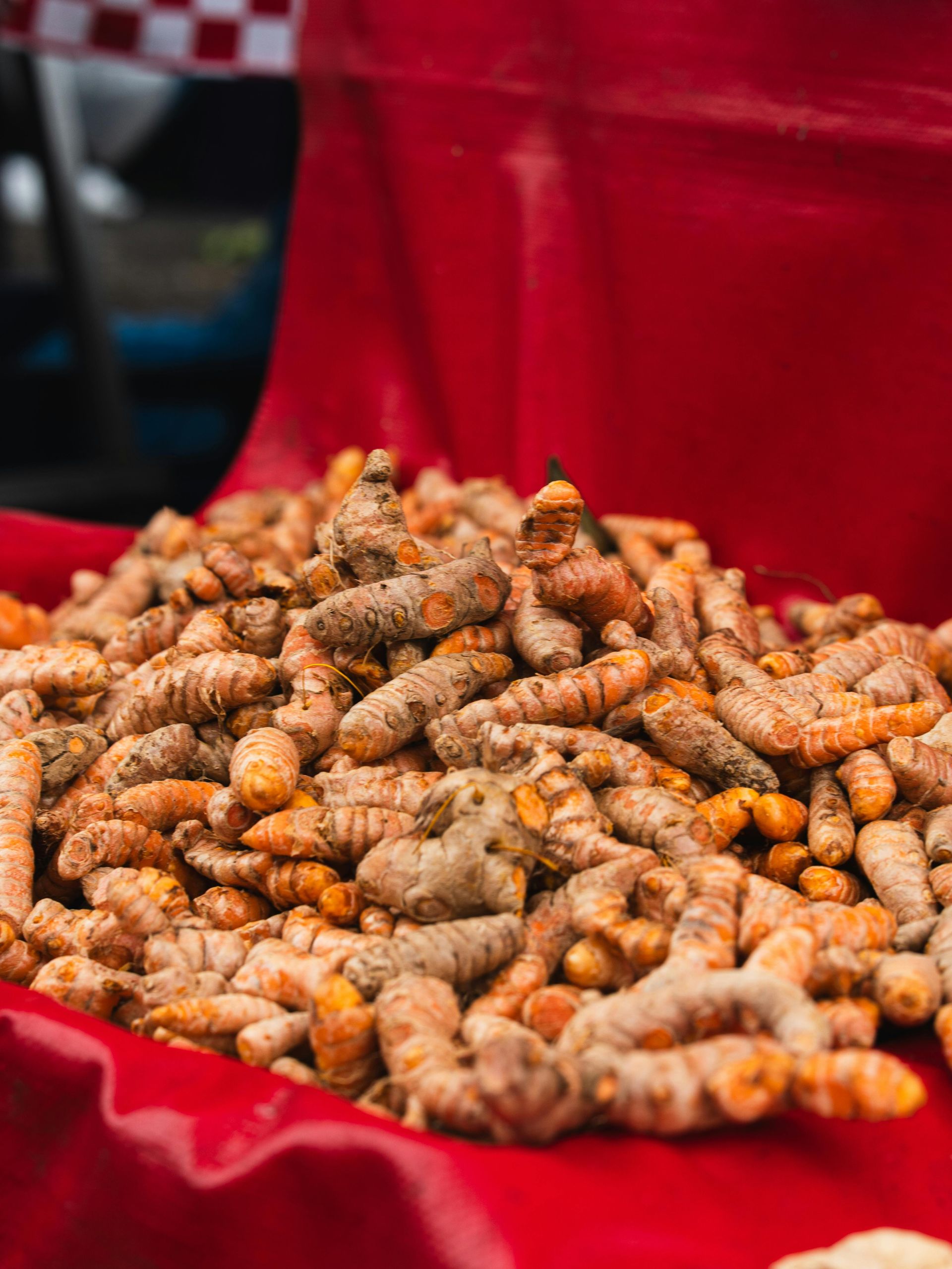 Ginger/Turmeric Tincture