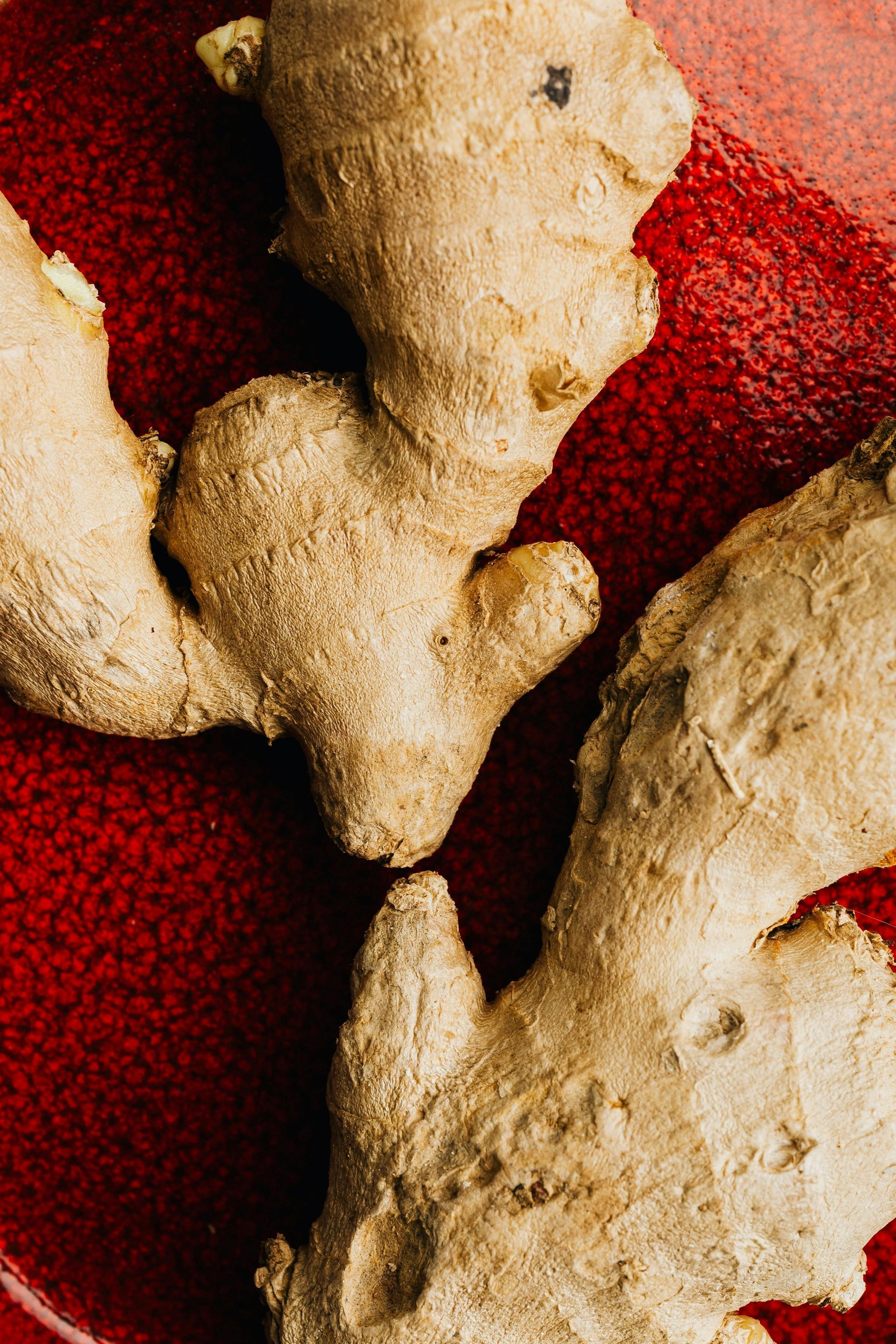 Ginger/Turmeric Tincture