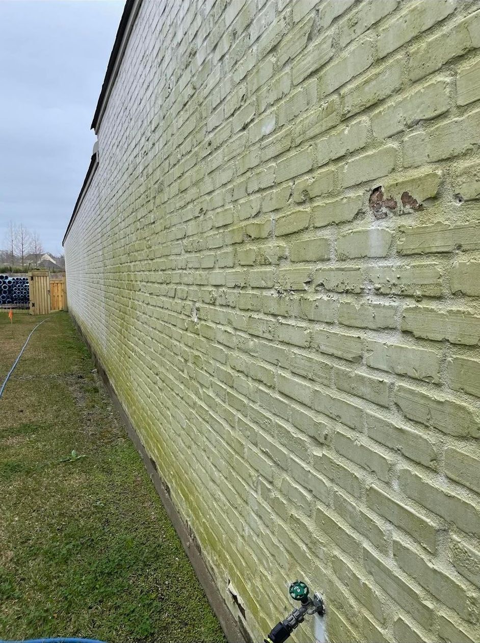 green algae on brick wall siding exterior in Baker Louisiana