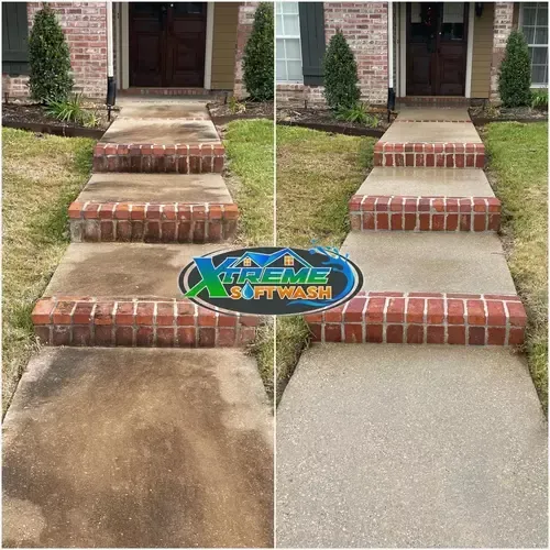 Before and After Soft wash and Pressure Wash Service for Concrete Walkway