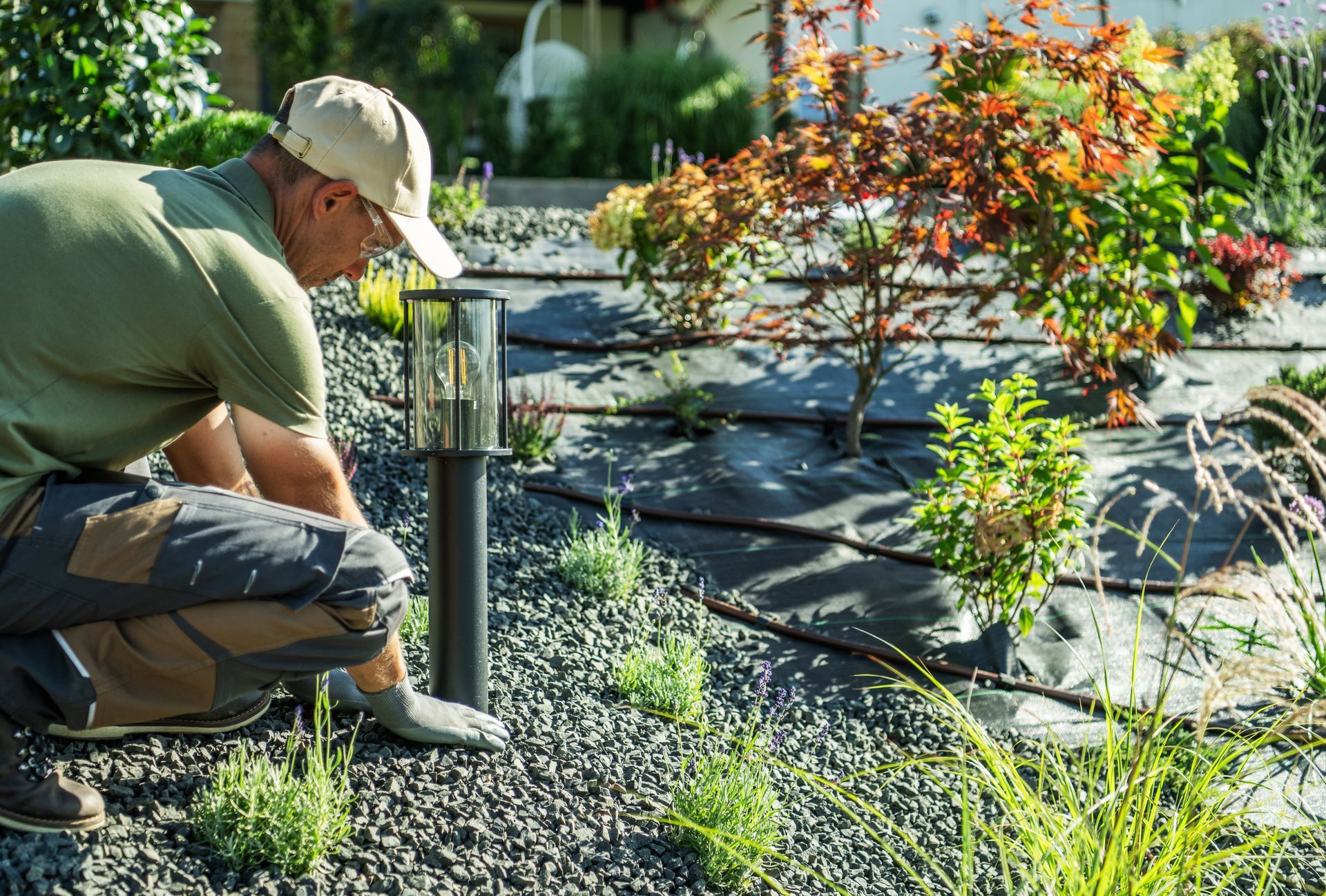 Gardener kneeling beside young plants in a sunny garden, tending black mulch beds.