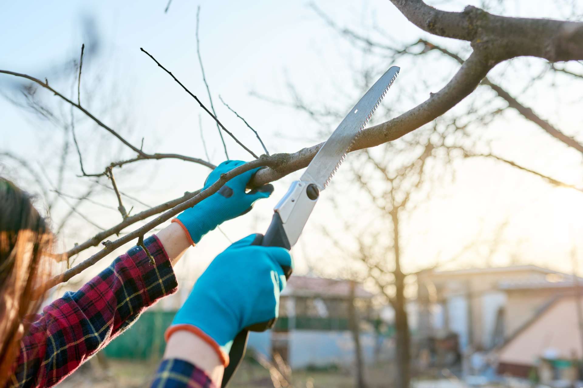 Person wearing gloves sawing a tree branch outdoors.
