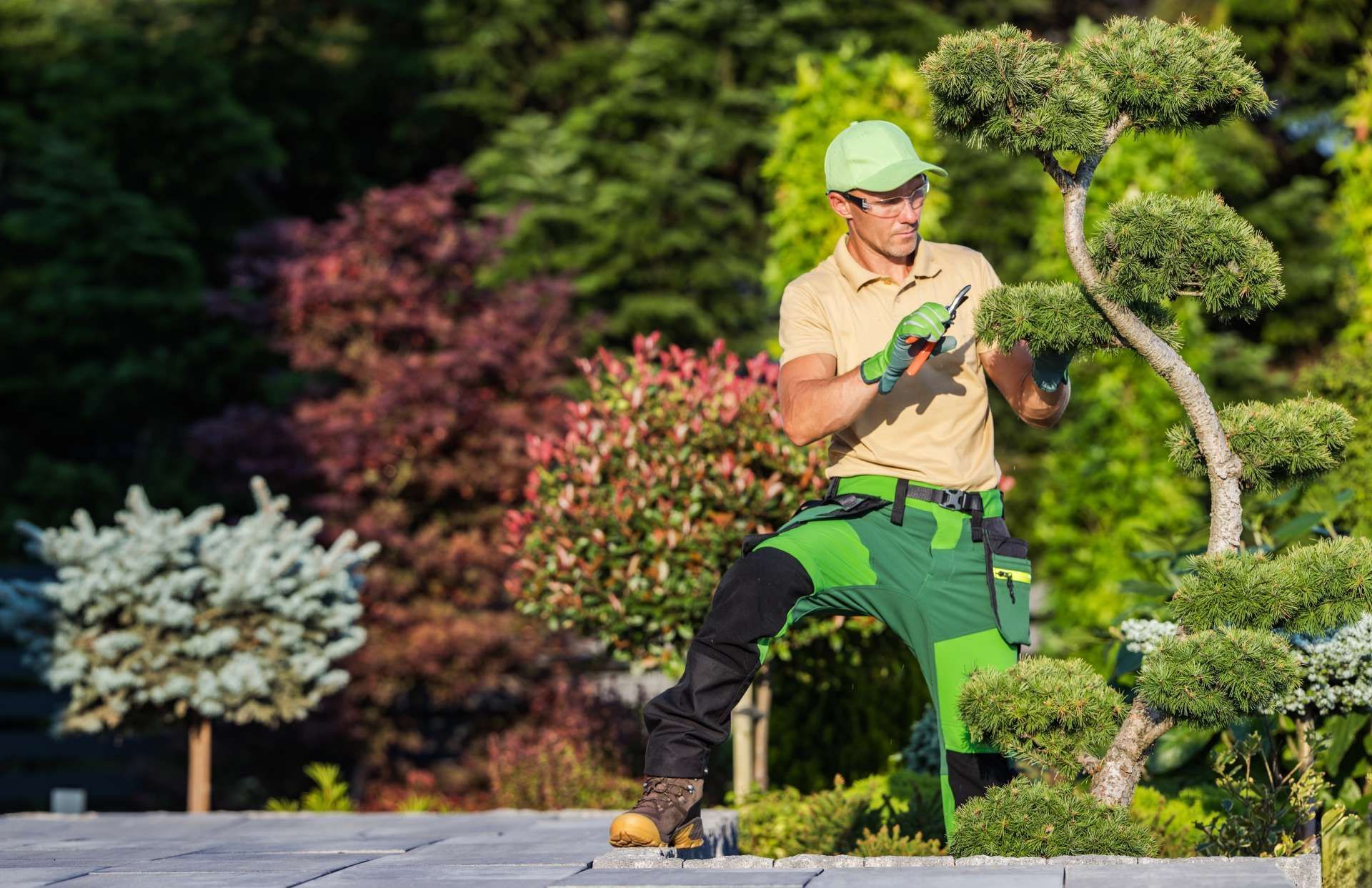Gardener in green uniform trimming a bonsai tree in a garden setting with various colorful plants.