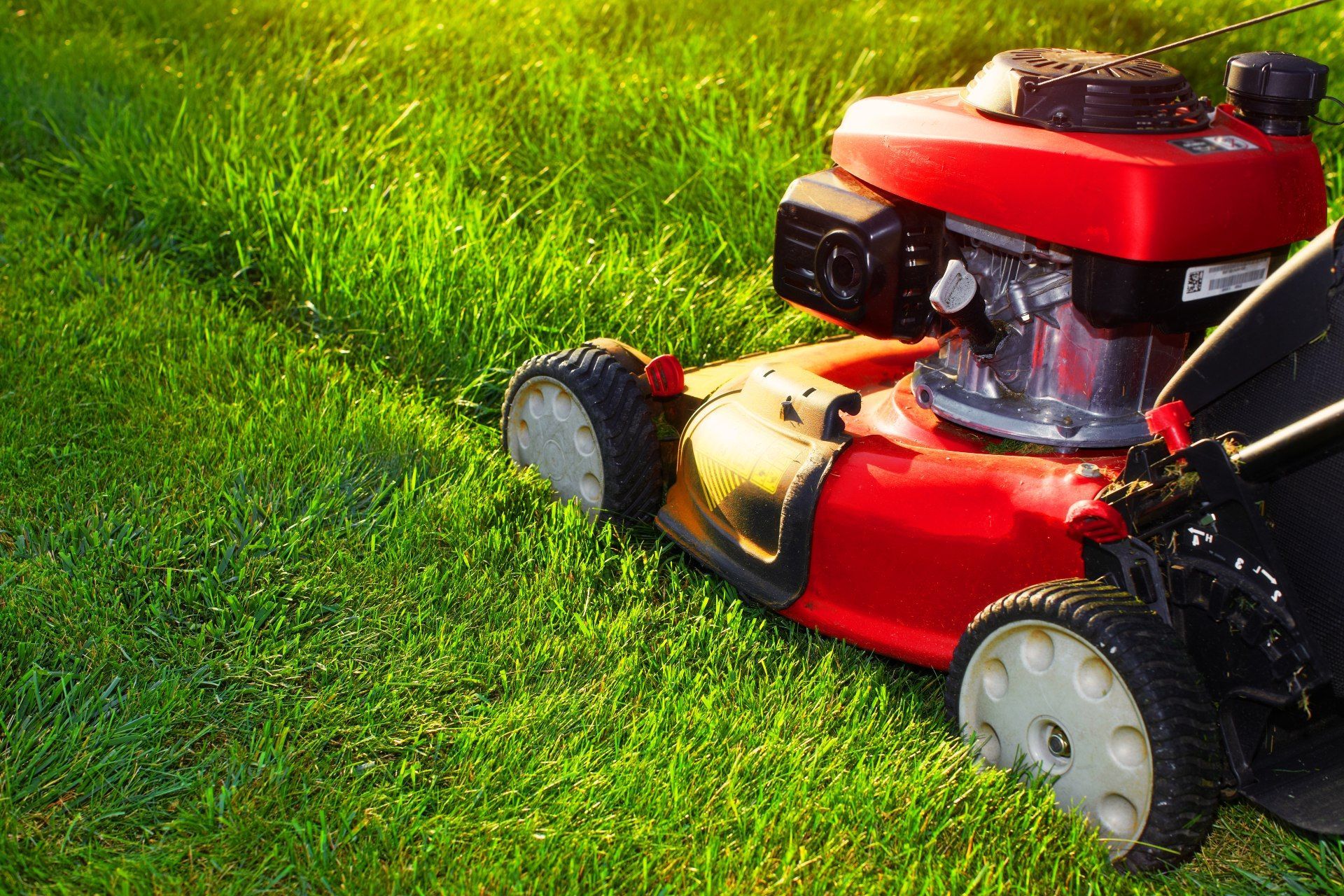 Red lawn mower cutting green grass in a sunny yard.