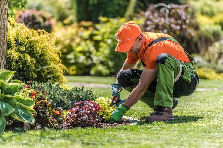 Gardener wearing orange and green, kneeling to tend plants in a sunny garden.
