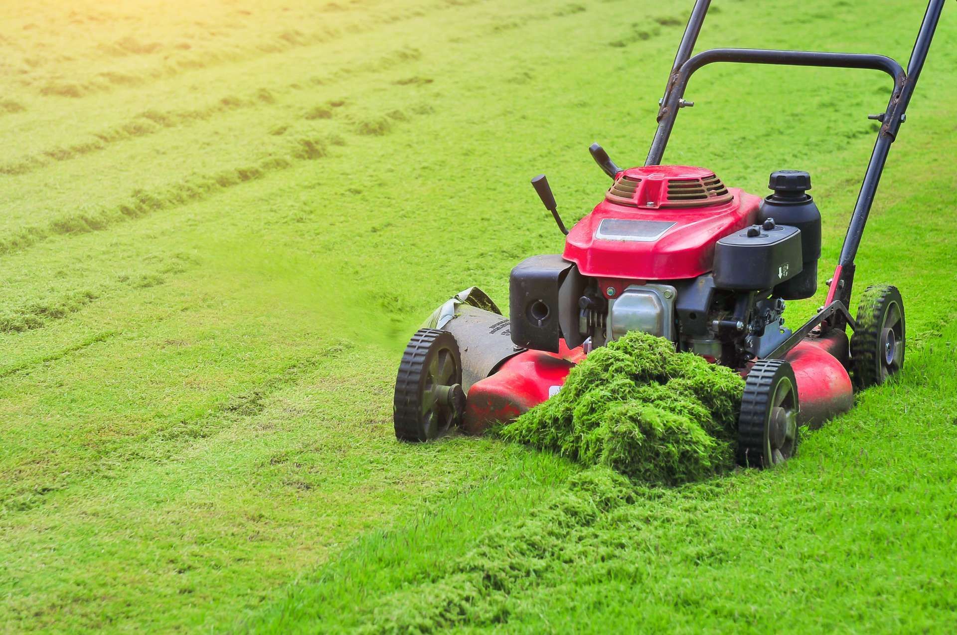 Red lawnmower cutting green grass in a sunny lawn.