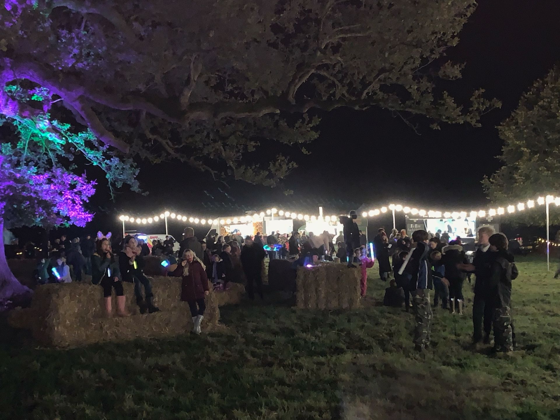 Nighttime outdoor event with people, hay bales, string lights, and a tree lit with purple and green.