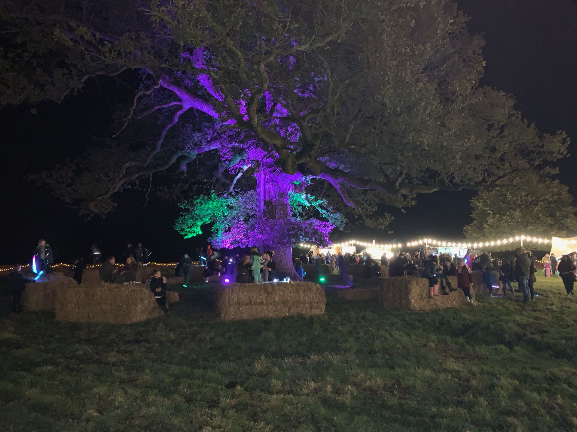 A night scene of people at an outdoor event, seated on hay bales under a tree lit with purple and green lights.