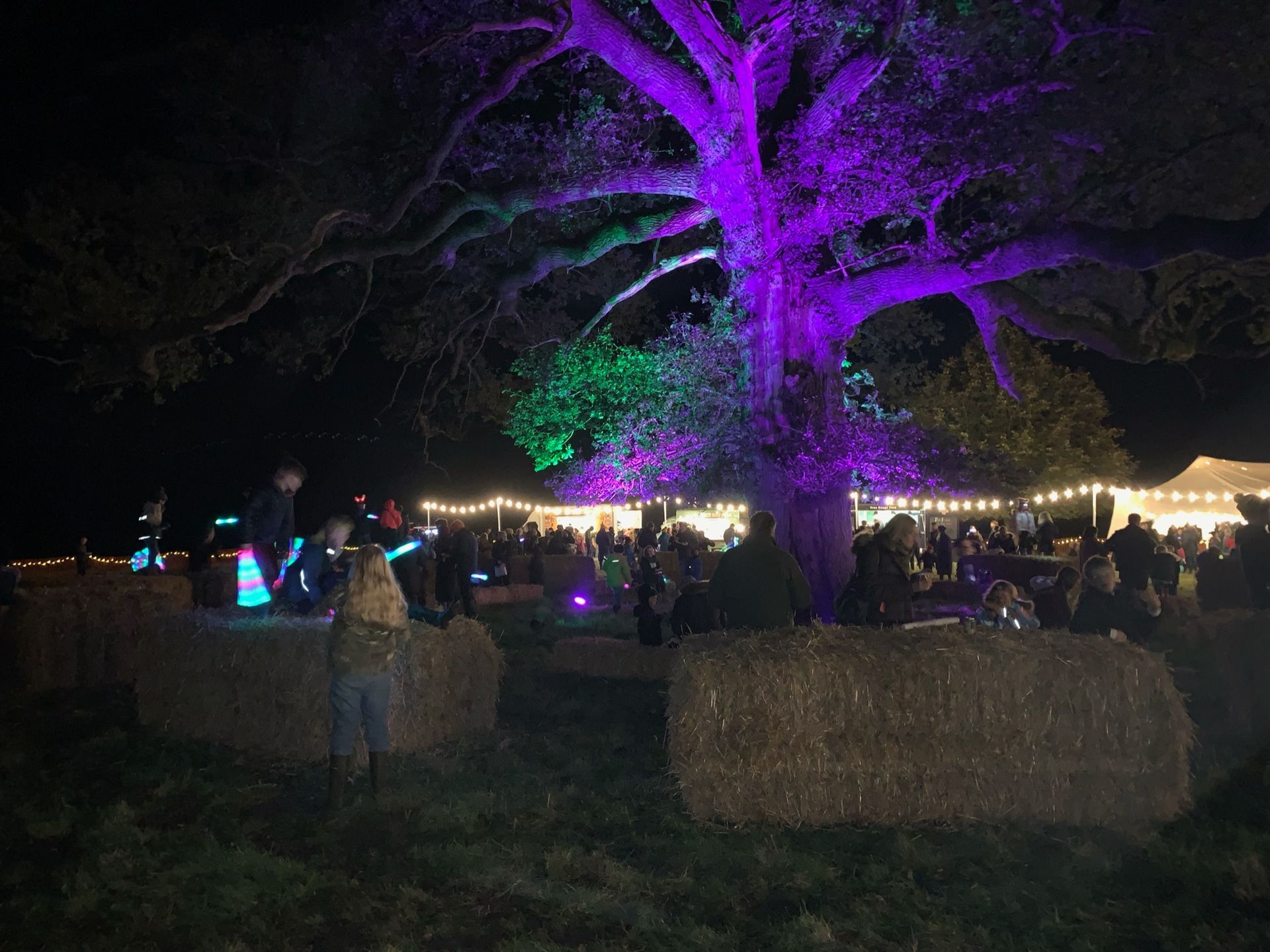 Night scene: Tree lit with purple and green, hay bales, people, strings of lights.