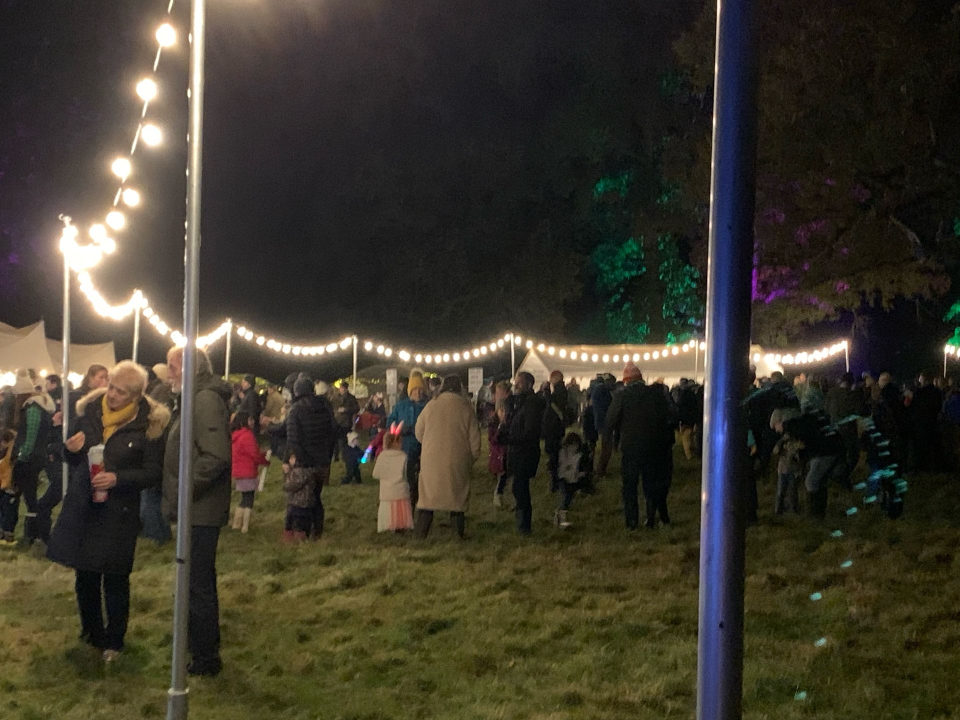 Crowd at a nighttime outdoor event, strung lights overhead, people milling about, green grass, dark sky.