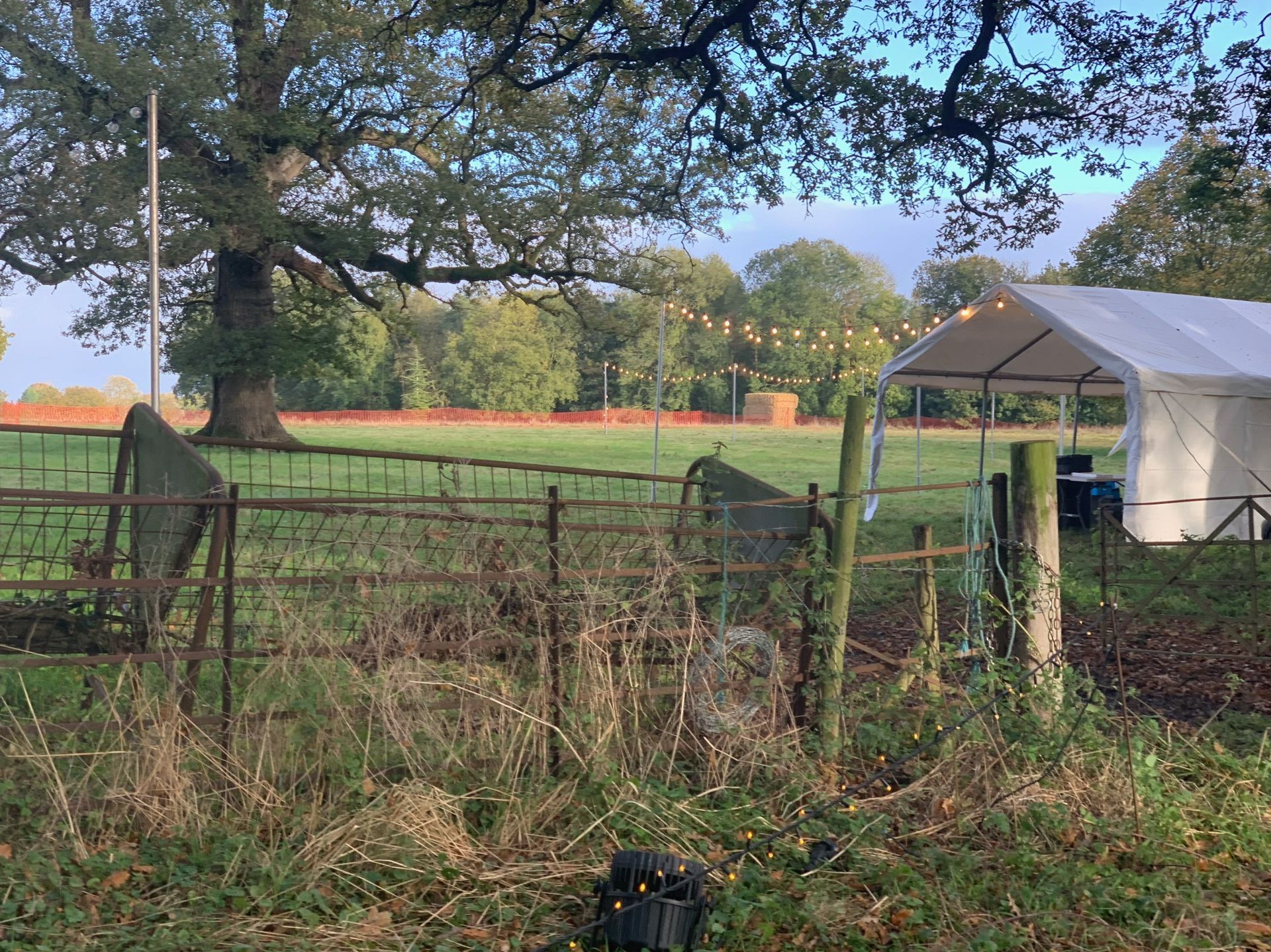 A field with a metal fence, a large tree, and a tent with string lights in the distance.