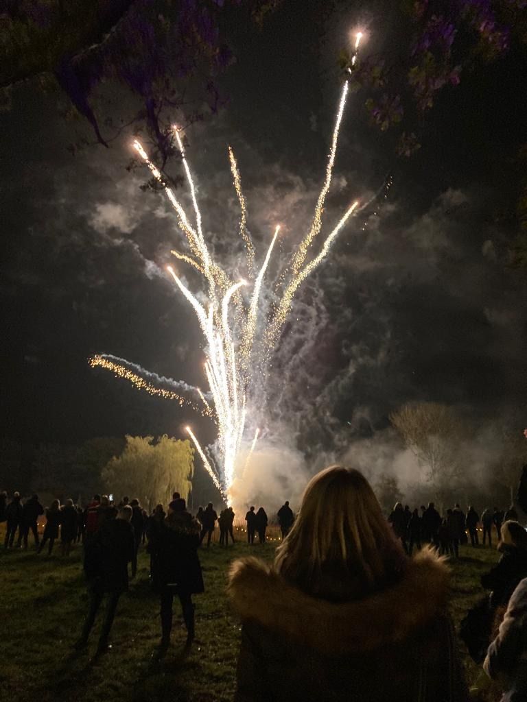 Fireworks burst above a crowd at night. A person with blonde hair watches the display.