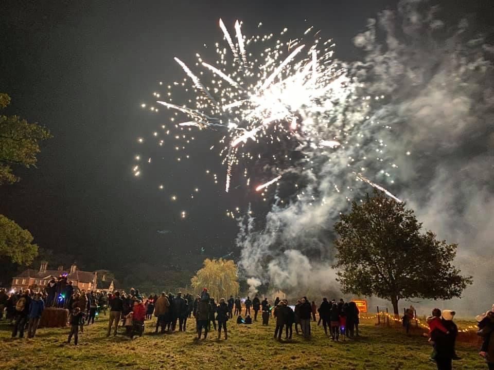 Fireworks exploding over a crowd of people at night; a large, grassy field.