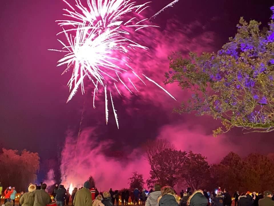 Fireworks burst over a crowd, illuminating the night sky with pink and white.