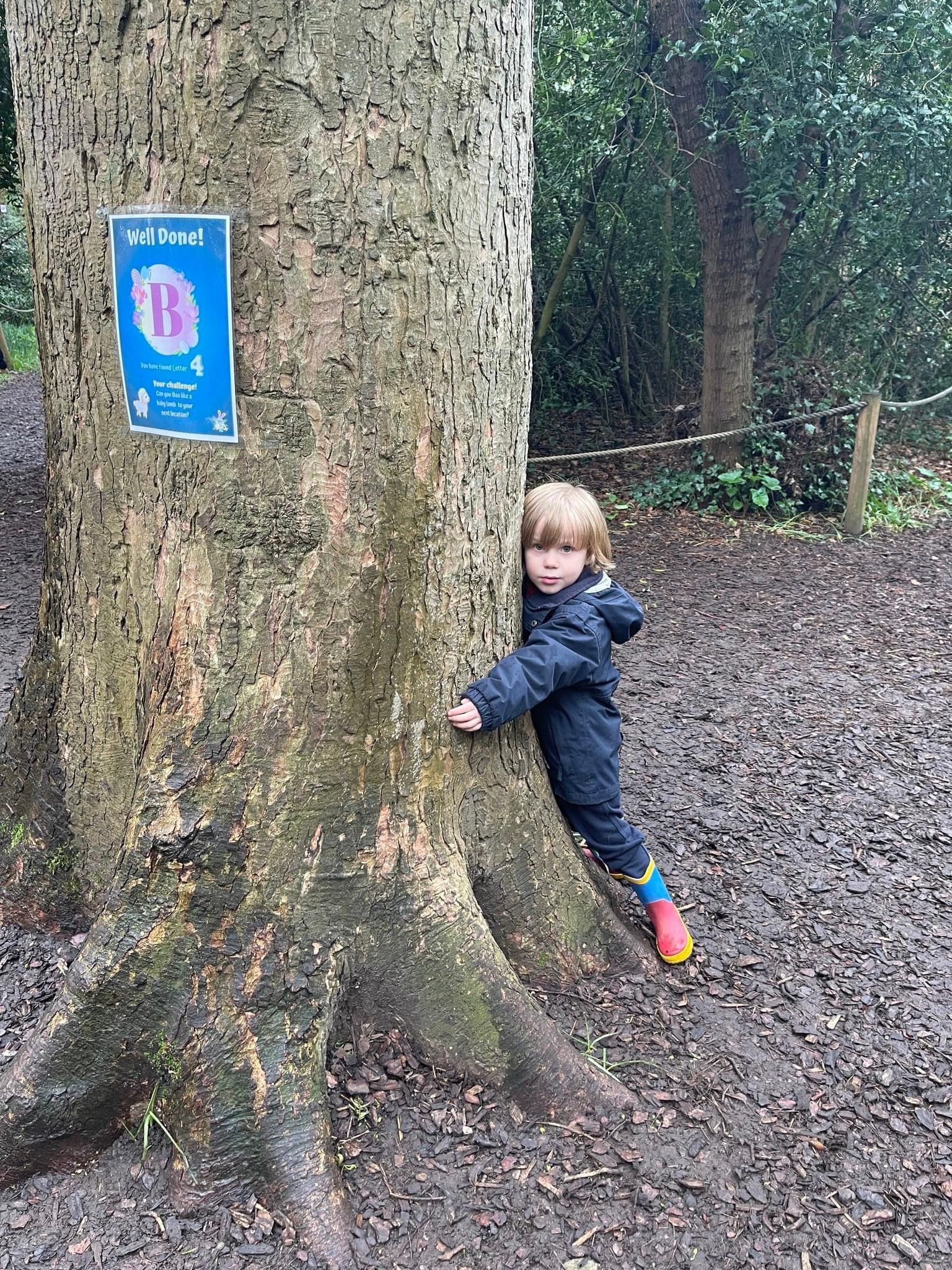 Young child hugs a tree trunk in a muddy forest setting, with a sign labeled 