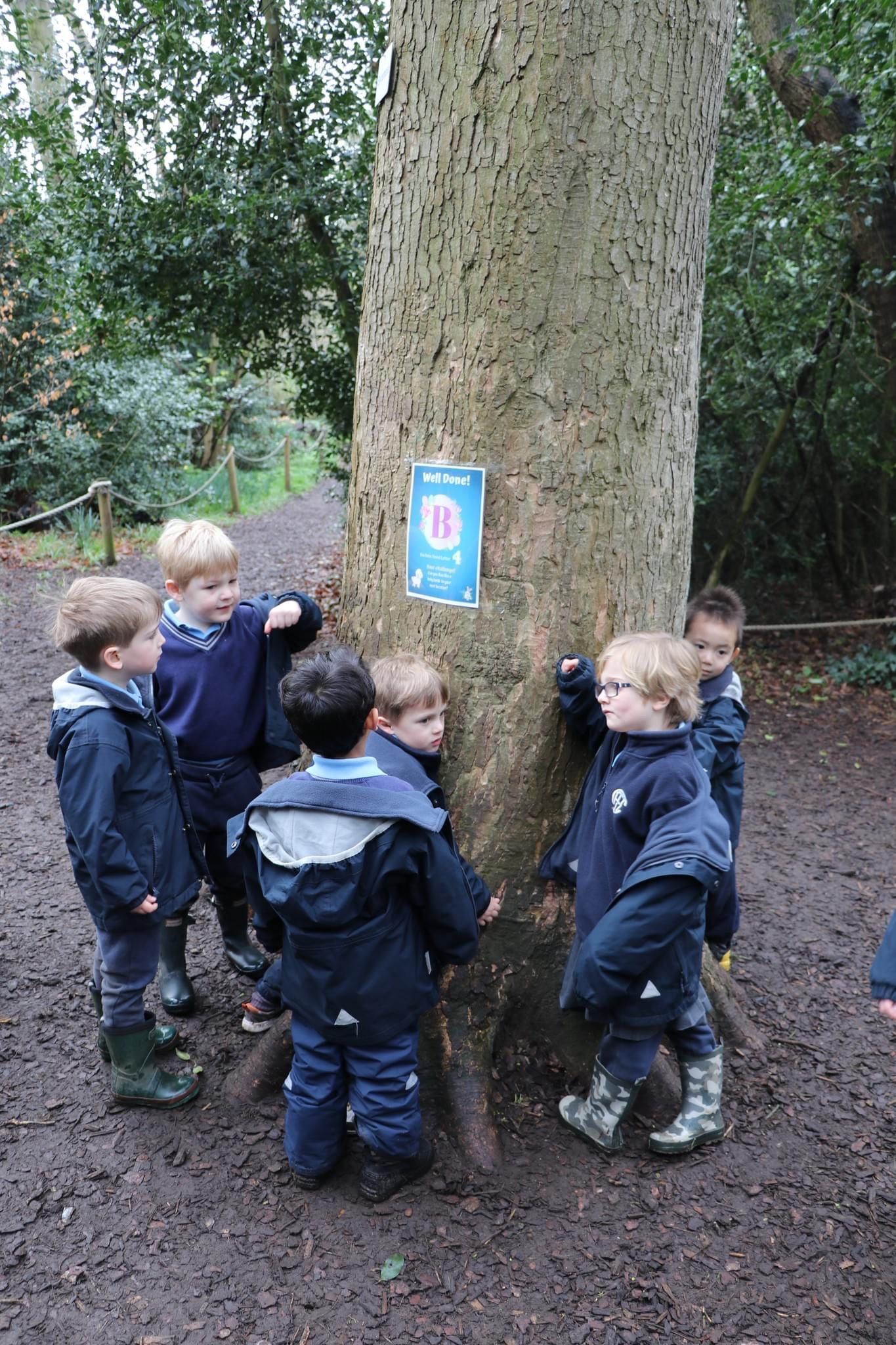 Children gathered around a tree in a wooded area, touching the bark. A sign with a blue hand is on the tree.