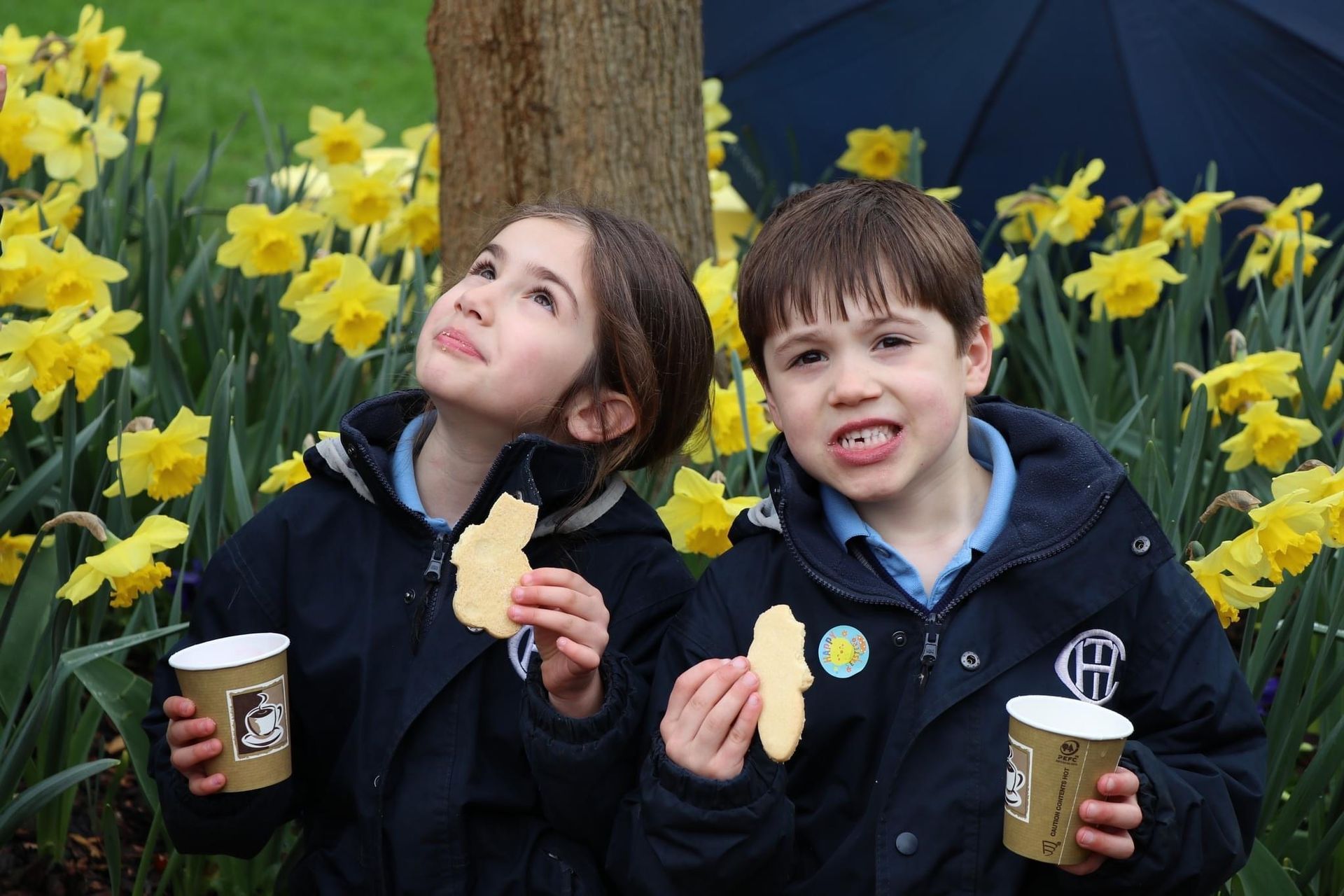 Two children in school uniforms eating cookies and looking up in front of yellow daffodils.