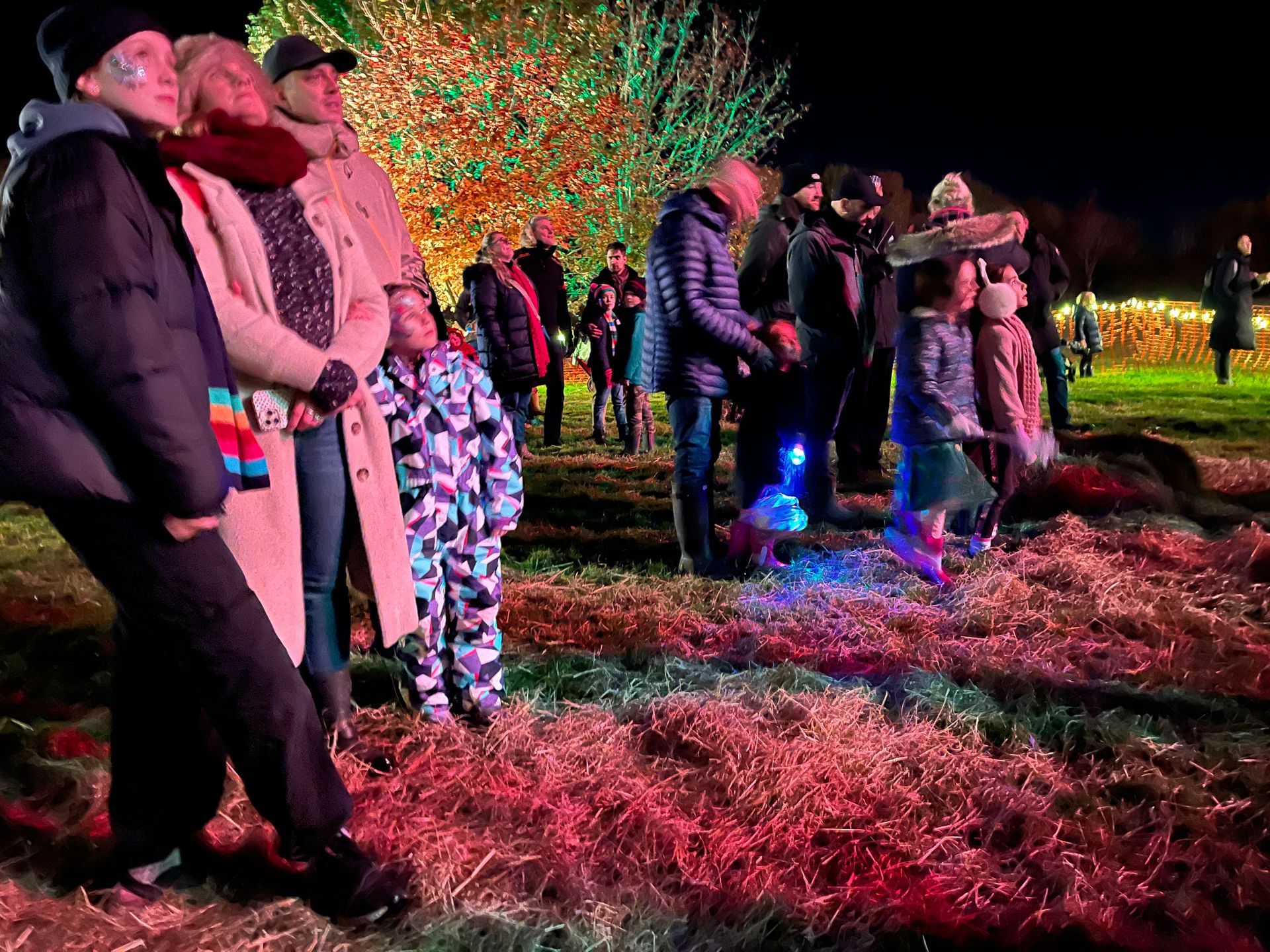 People watching a light display outdoors at night. Colorful lights illuminate a grassy field.