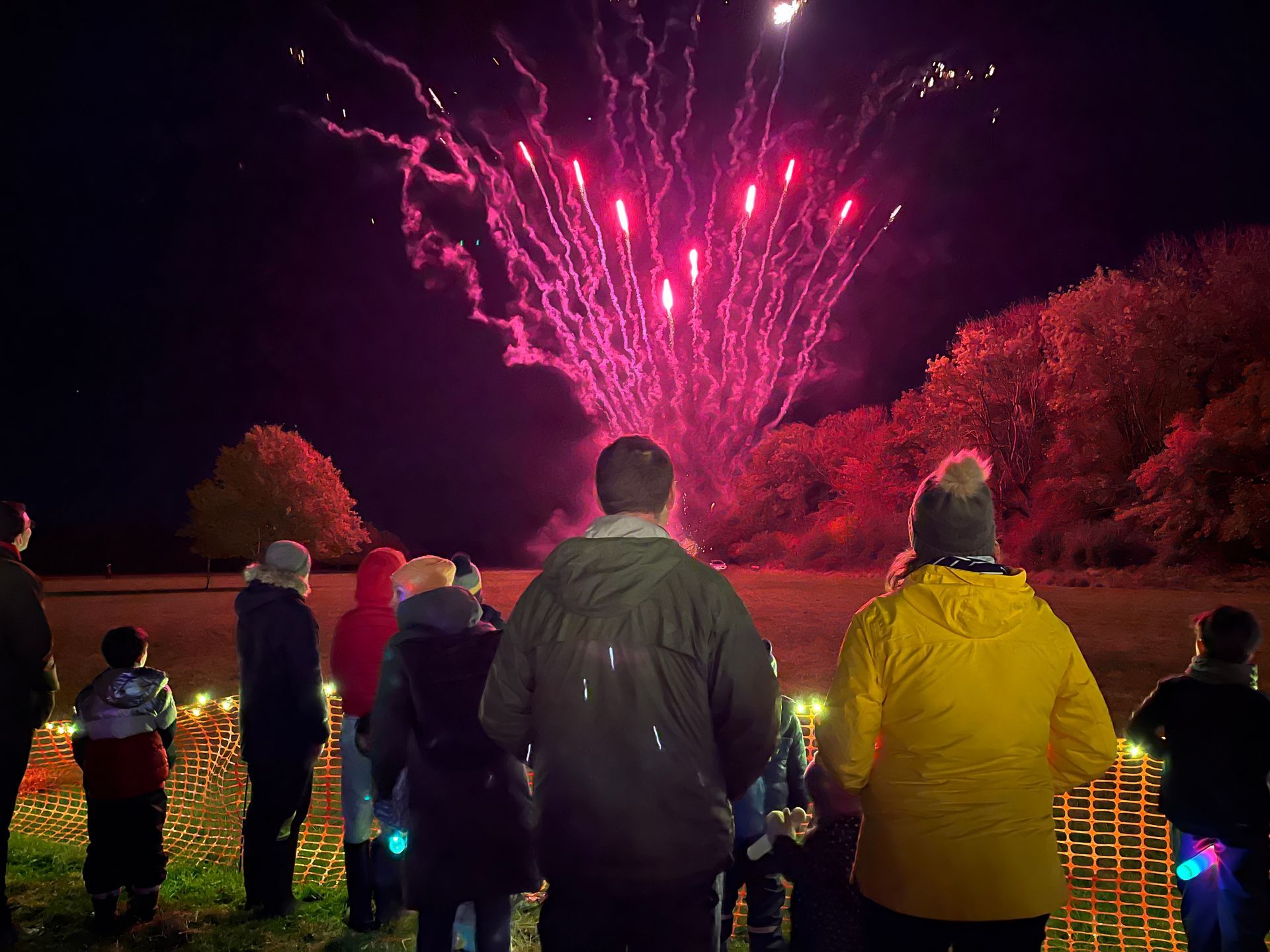 People watching pink fireworks burst in the night sky over a field and trees.