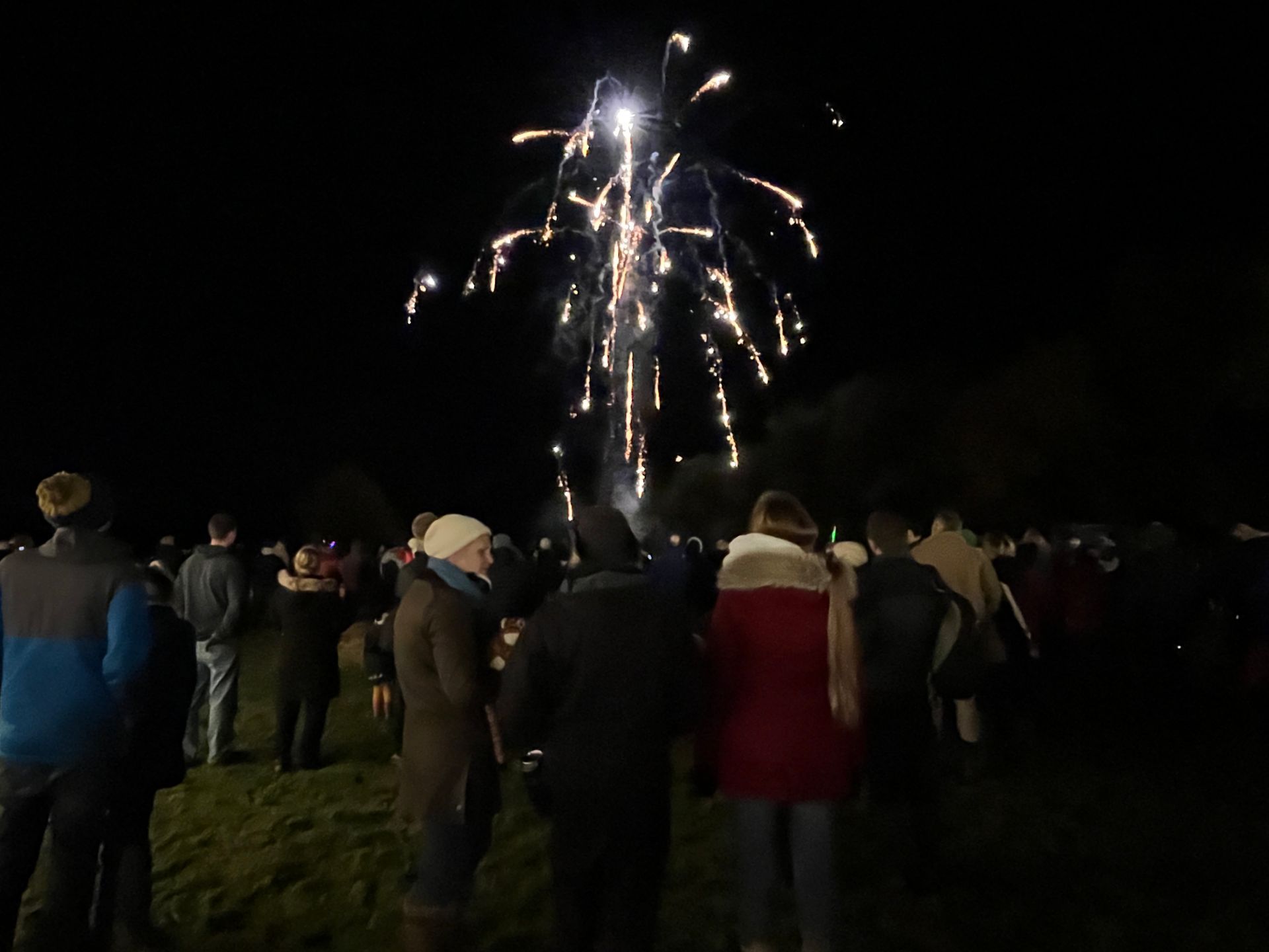 People watching fireworks burst in the night sky over a field.