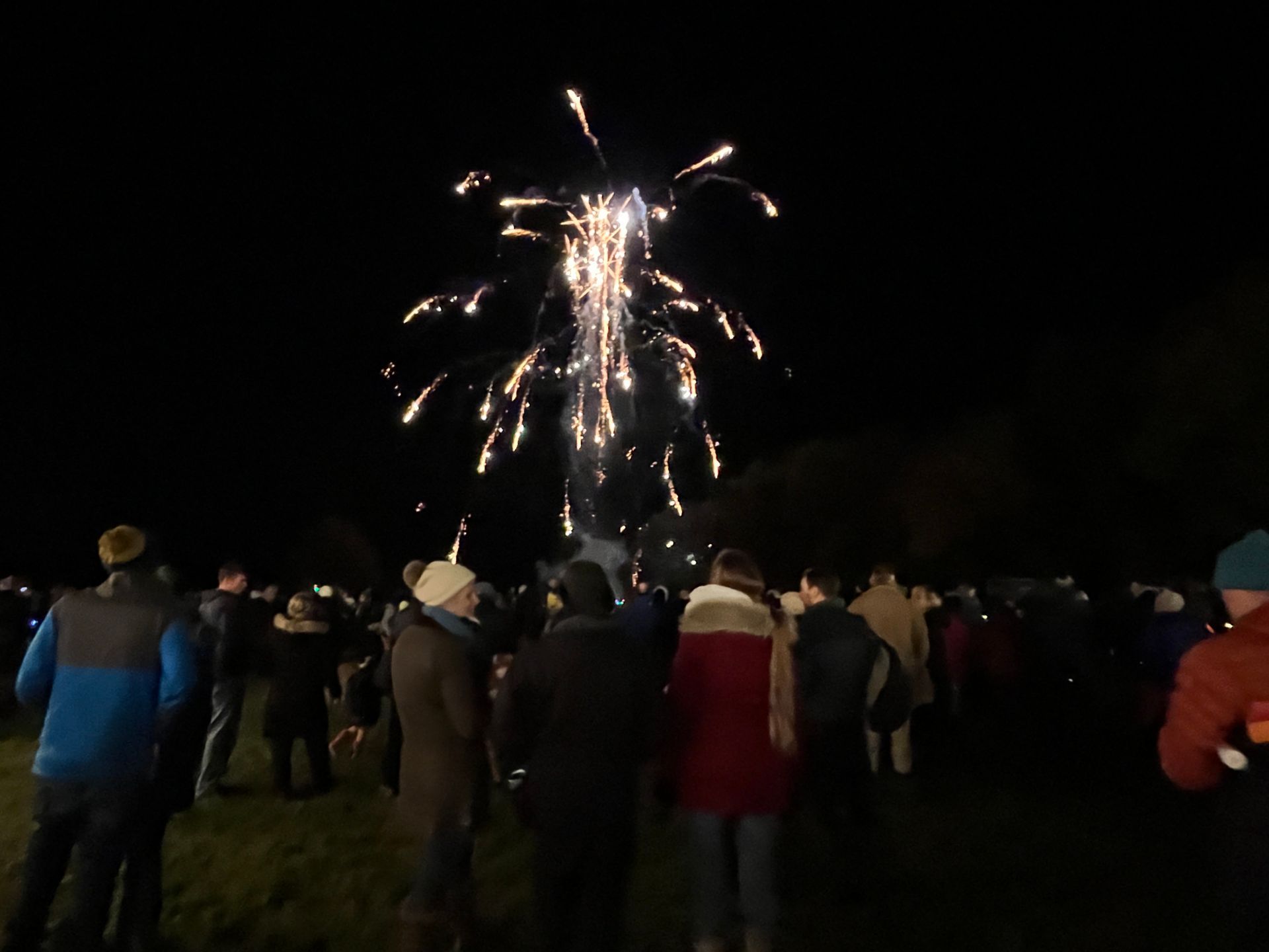 Fireworks exploding in the night sky above a crowd of people, illuminating them with bright colors.