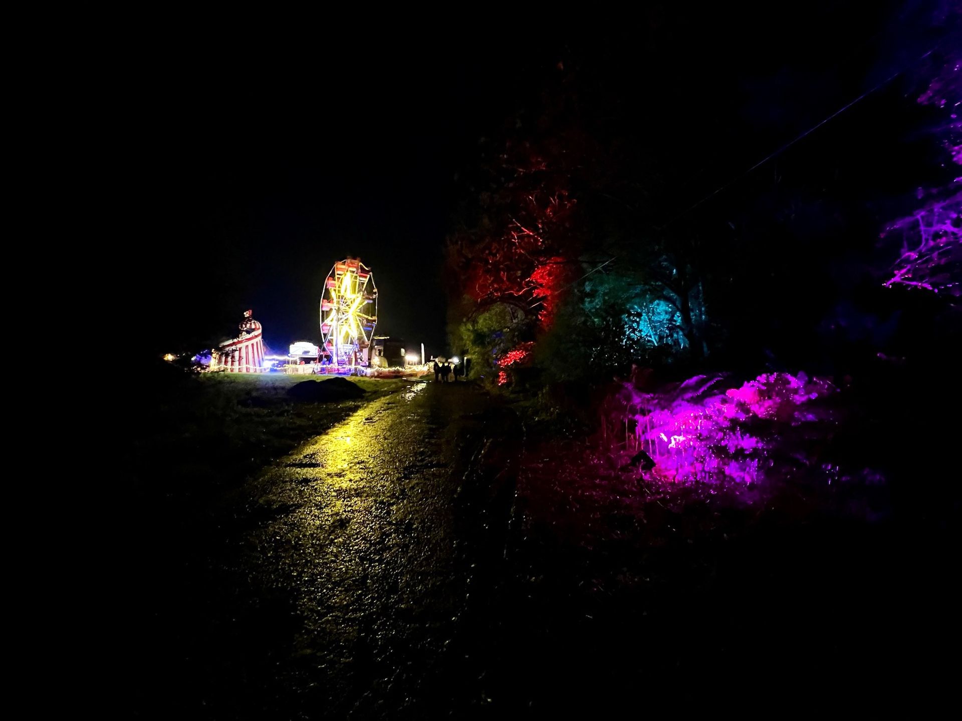 A nighttime scene with colorful lights illuminating a park. A Ferris wheel is visible in the distance.