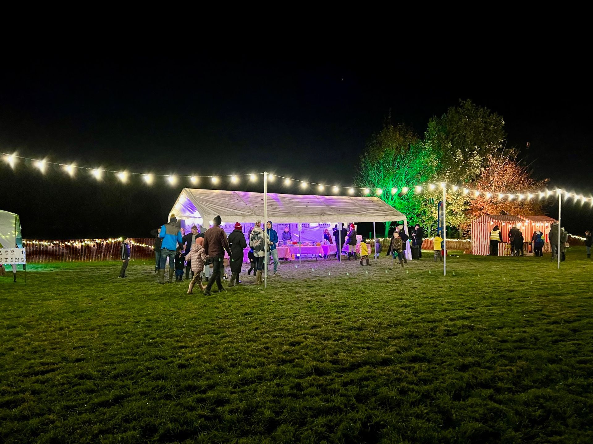 People gather at night under string lights in a grassy field near a tent with colored lights.