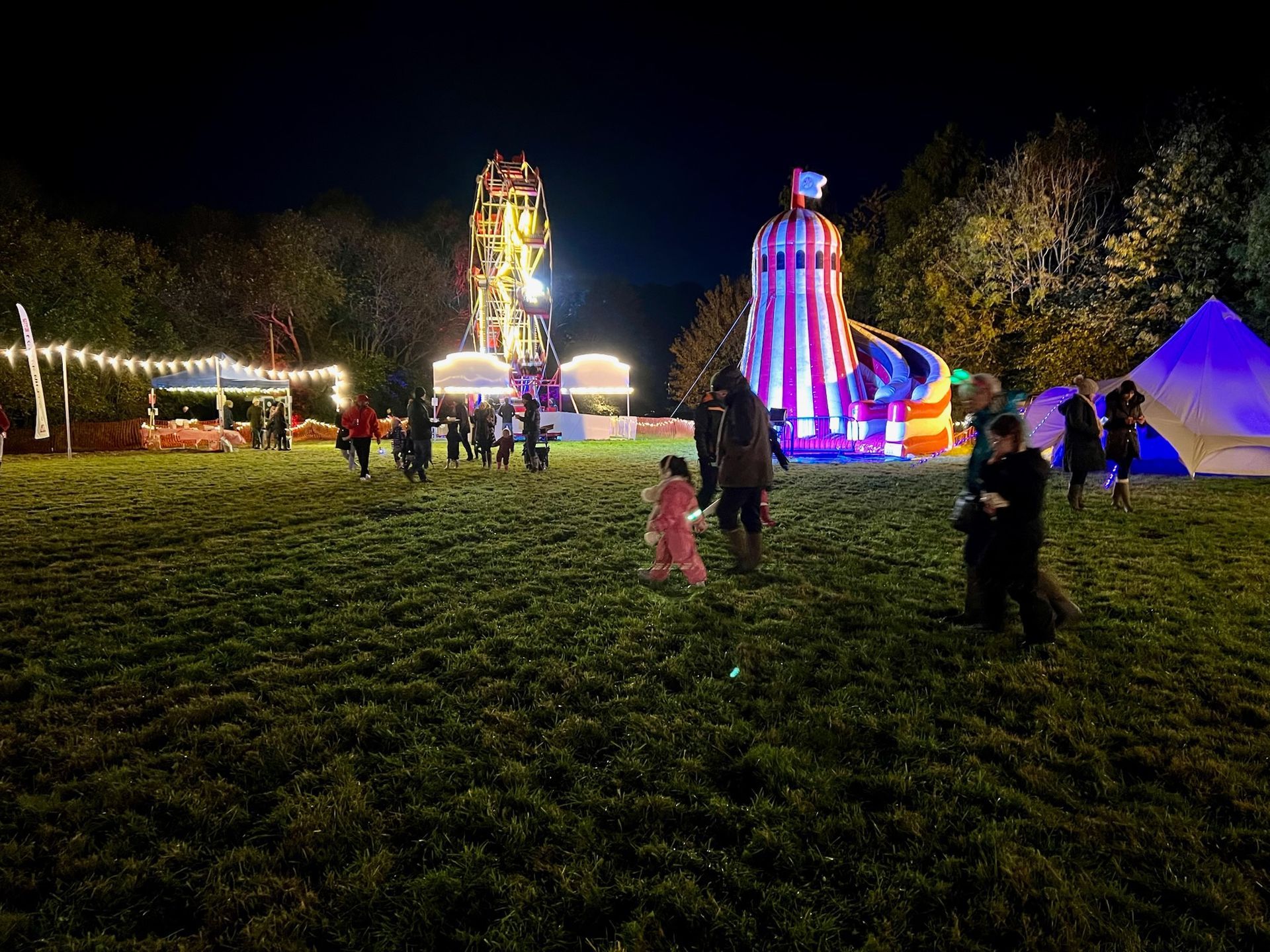 Nighttime fair with a Ferris wheel, slide, and people on a grassy field.