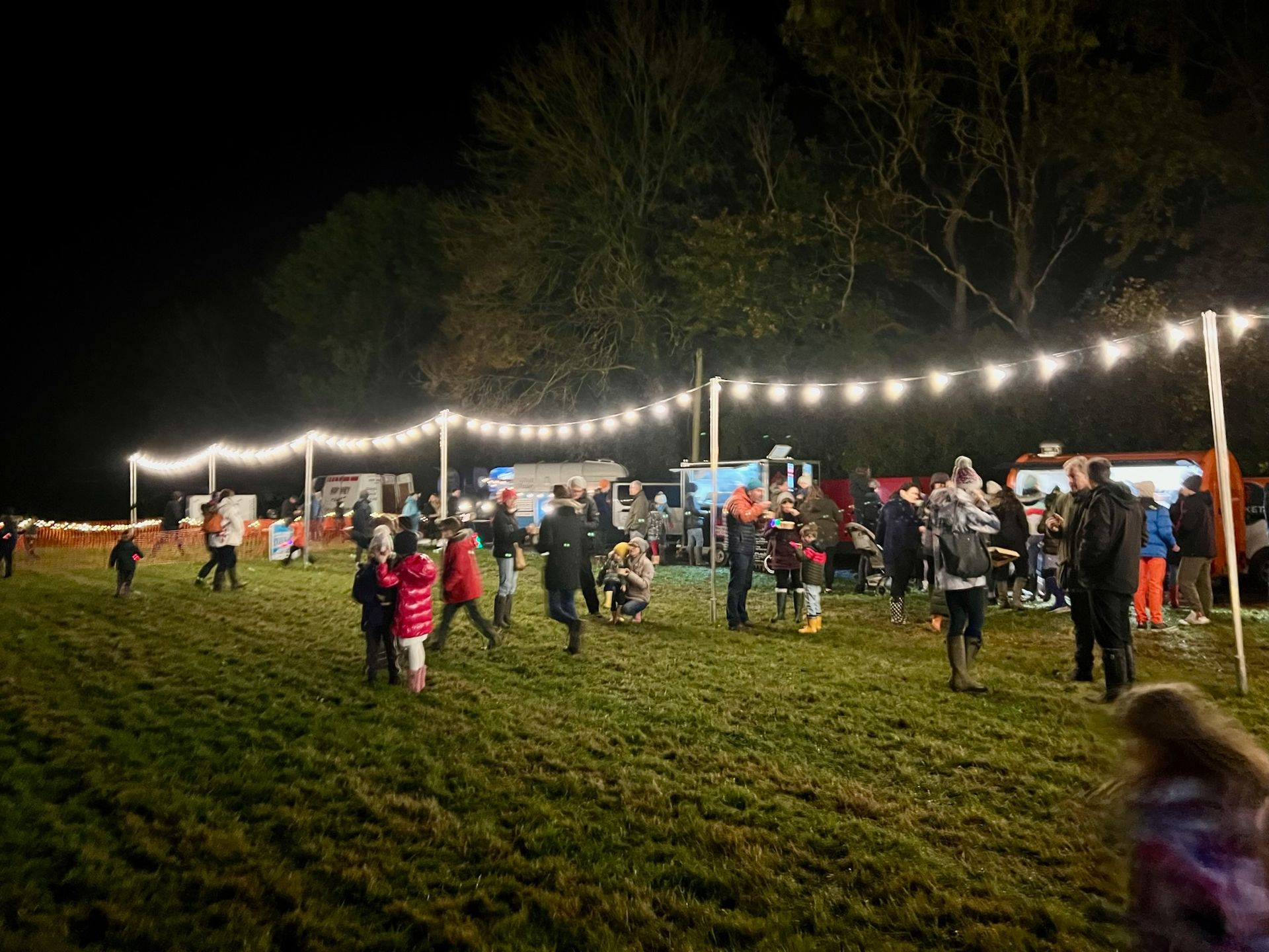 Night scene: Field with people, food stalls, and string lights.
