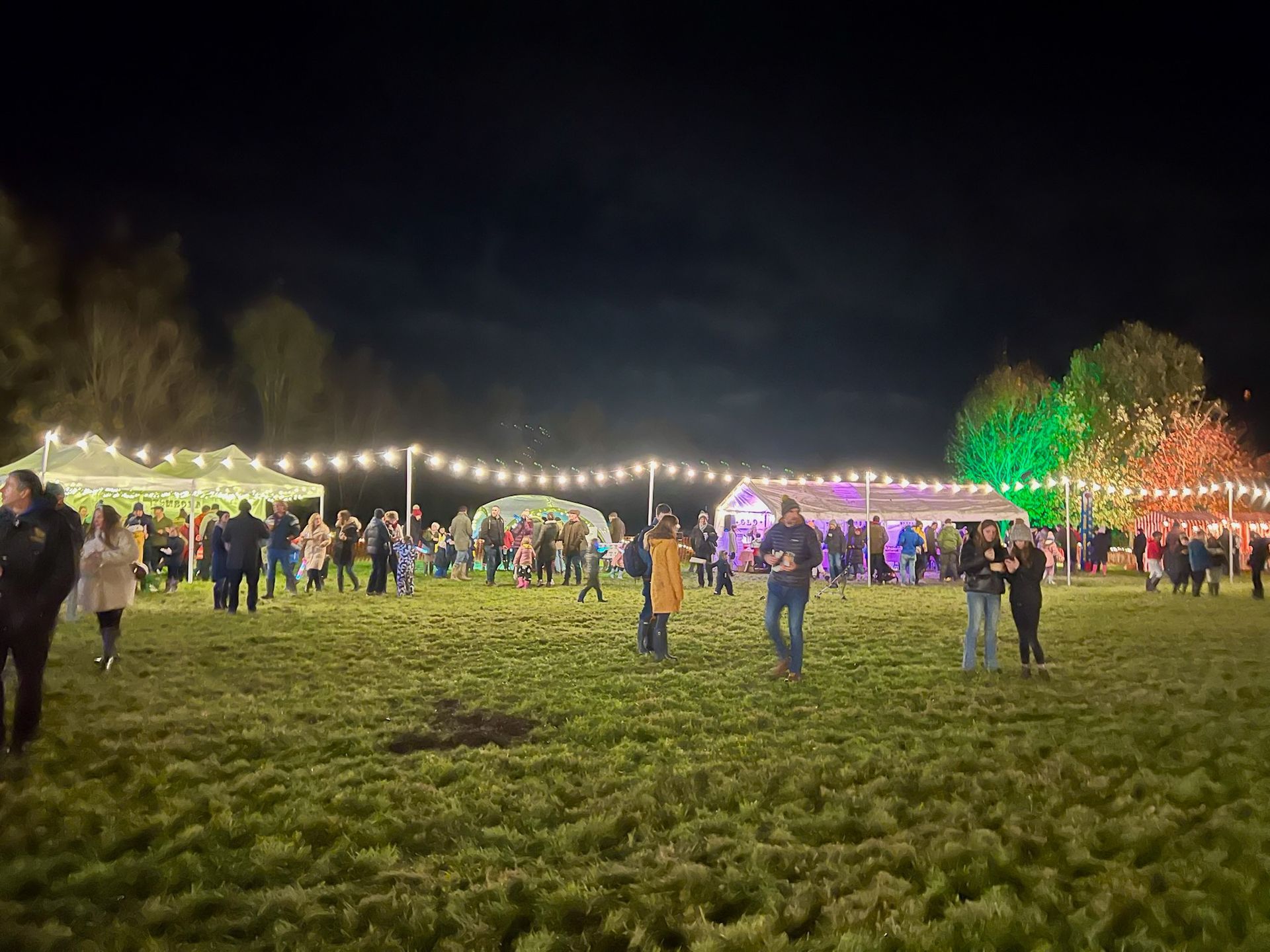 Night scene: Crowd at outdoor event under string lights. Green grass, trees, colorful lights.
