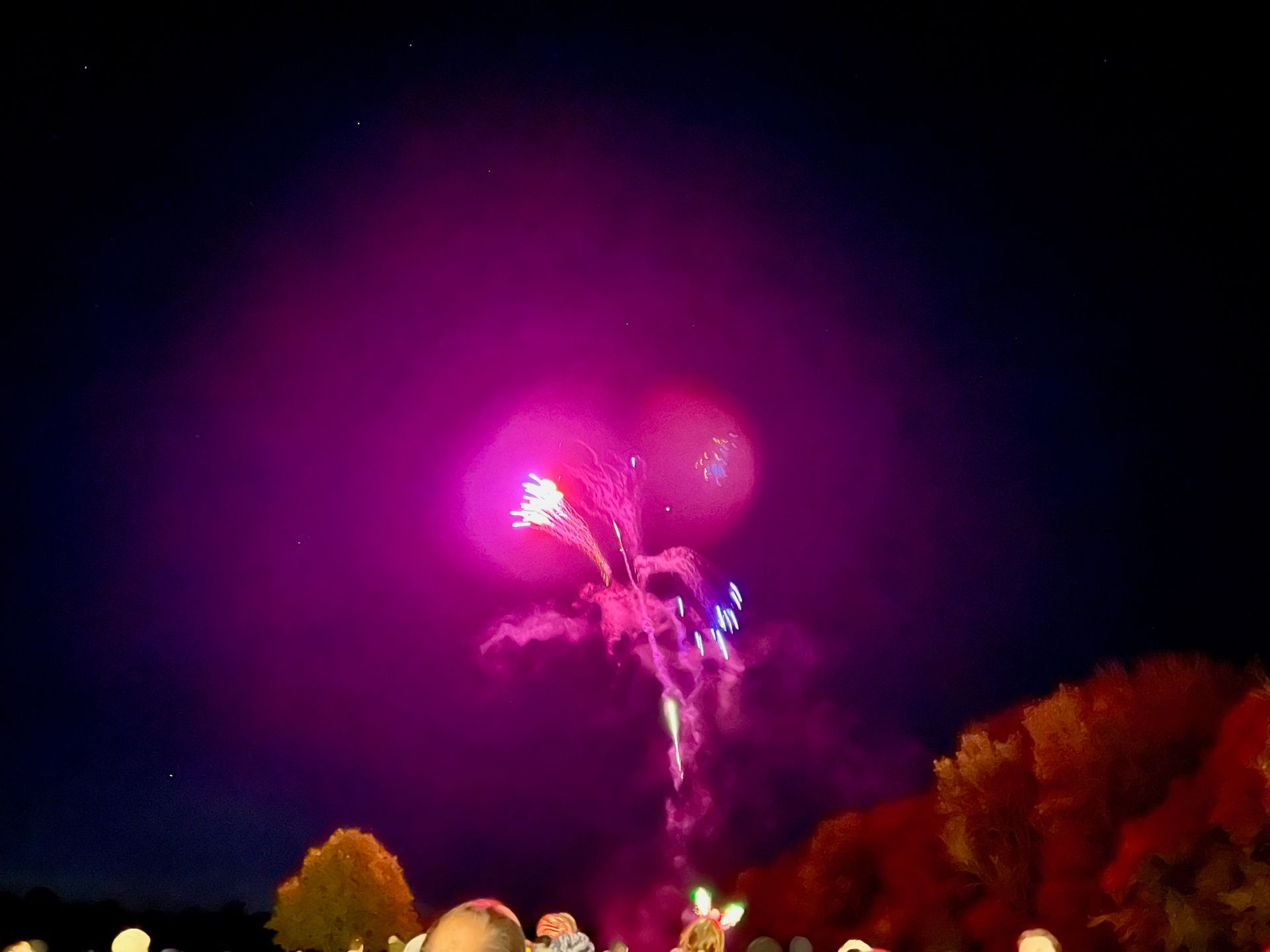 Fireworks burst in a dark sky, pink and white colors. Spectators below.