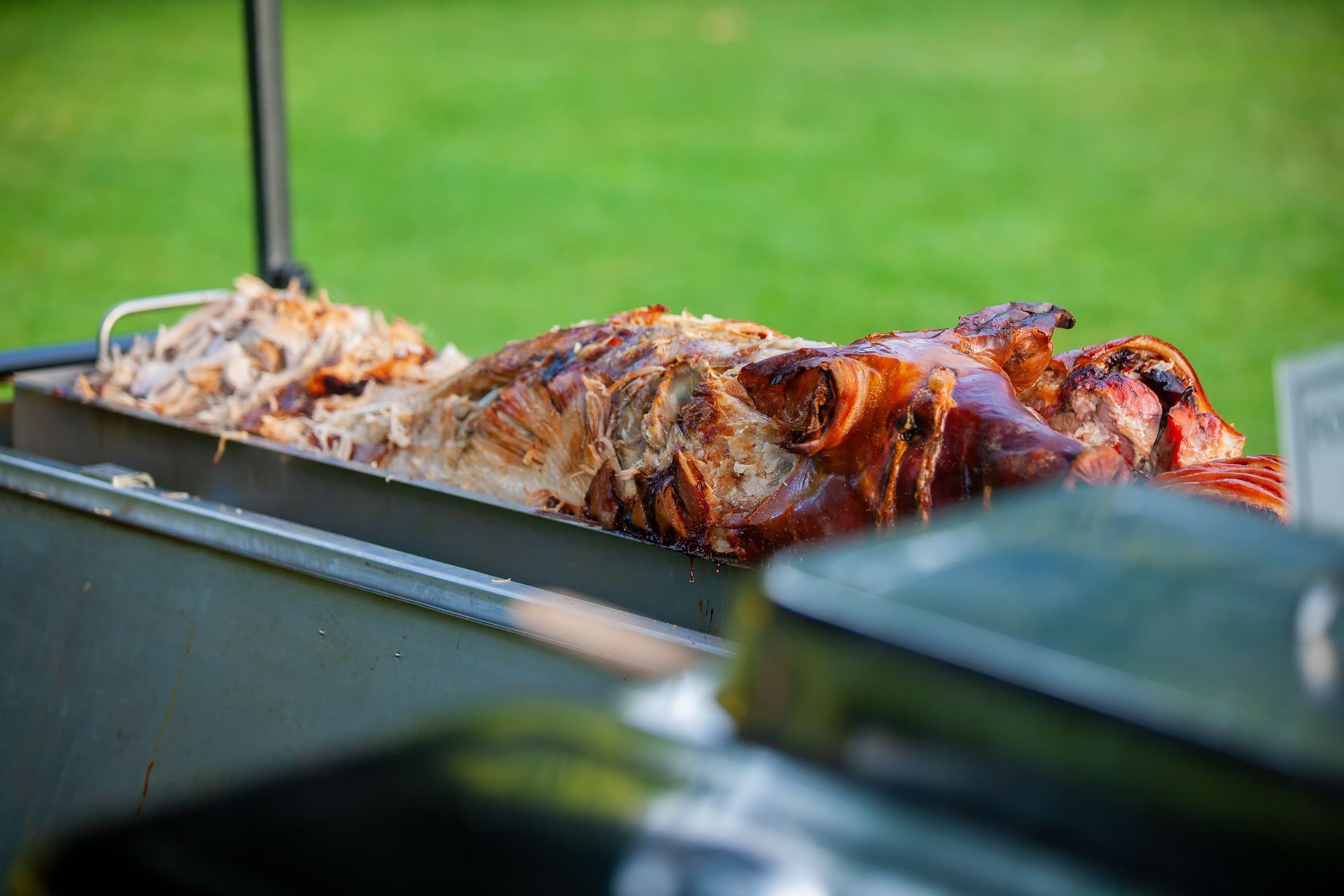 Roasted pig on a grill; golden brown skin, shredded pork; green grass background.