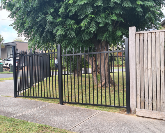A black fence with a wooden fence behind it and a tree in the background.