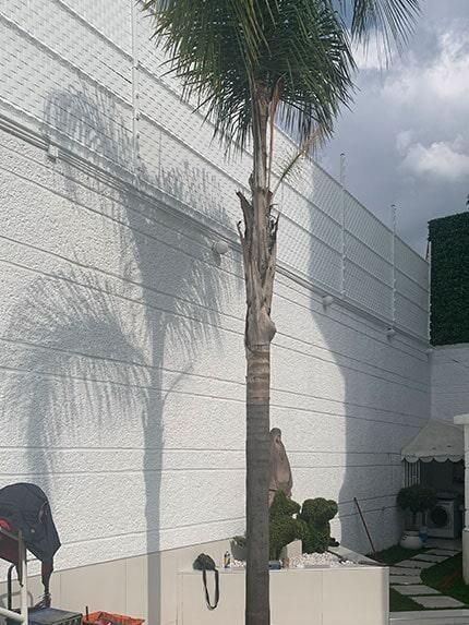 CERCAS Y MALLAS INTEGRALES